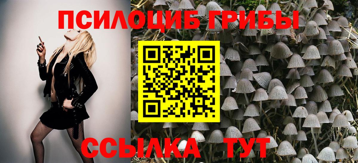 Галлюциногенные грибы Psilocybine cubensis Кириши